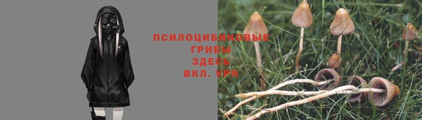СК Богданович