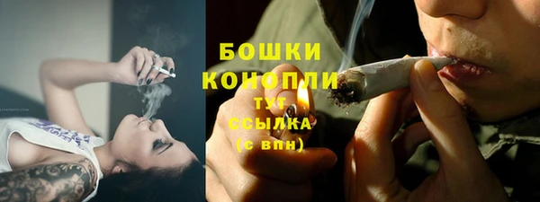 прущий лед Богородицк