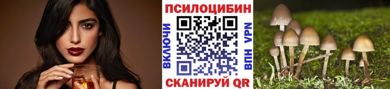 Псилоцибиновые грибы Psilocybine cubensis  Новое Девяткино 